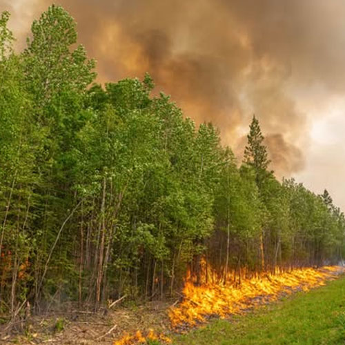 Update #28: Improving Conditions Allow Return in Some Areas