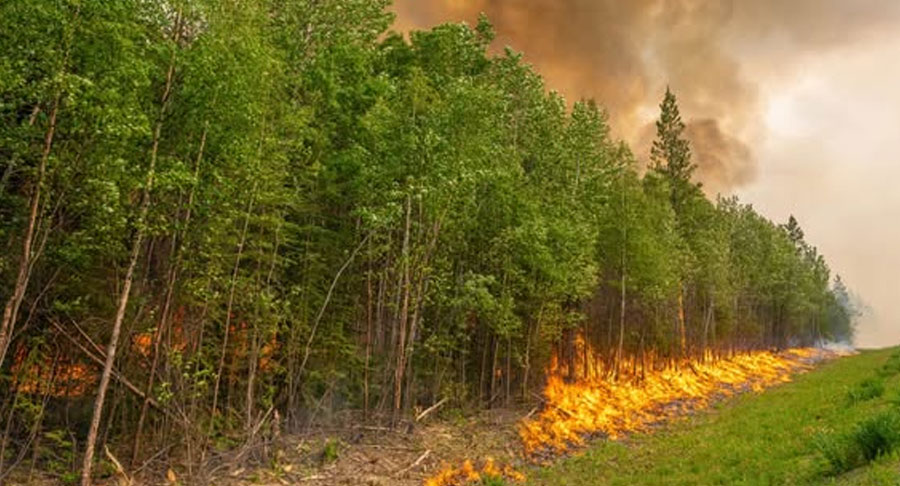 Update #25: Evacuation Order, Alert Downgraded